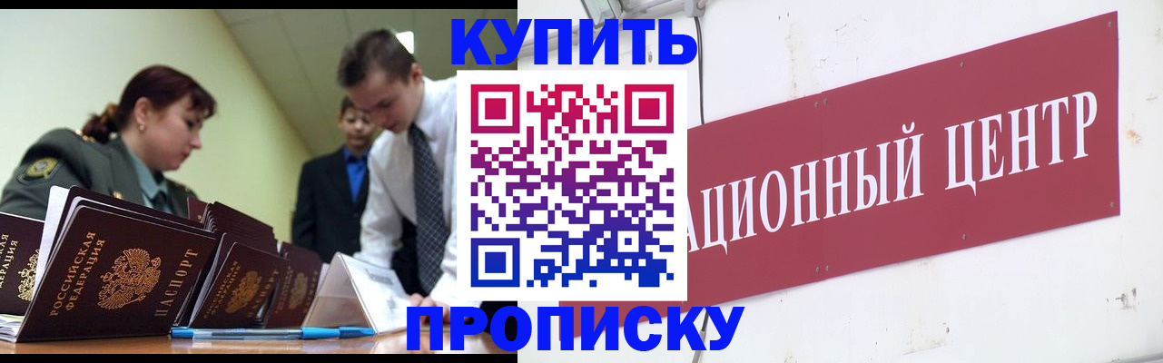 прописка поиск в Чкаловске